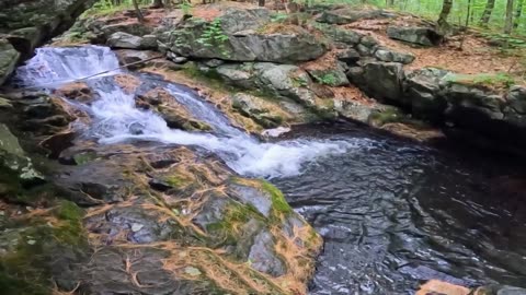 Roaring Falls