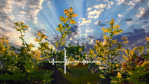 Summer EDM Tropical 2025: The Happiest Playlist to Lift Your Spirits!