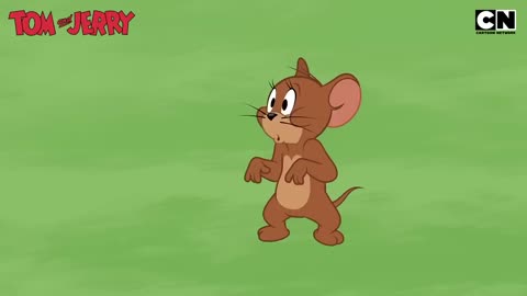 Tom and Jerry Kitchen Wars
