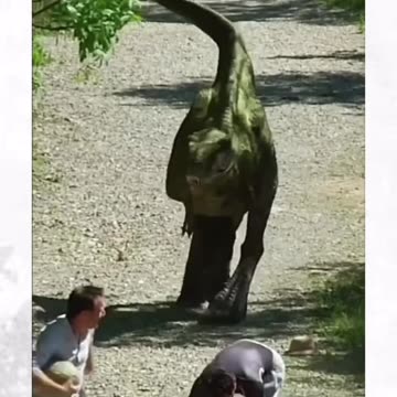 Dangerous Animal Pranks