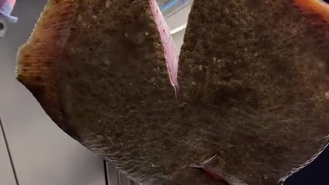 Old Man Slices Fish in Half with a Knife! 🐟🔪😱 #shorts