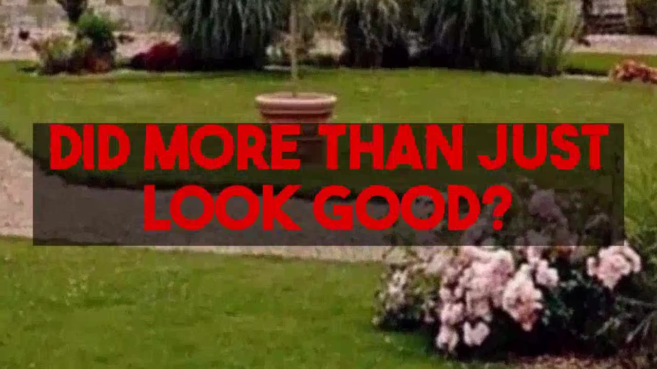 Hardscape Ideas to Transform Backyard Gardens