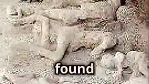 Pompeii: Eternal Witness to Disaster