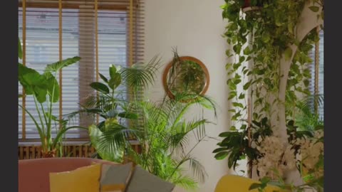 Ready to Occupy 2BHK Flat for Rent in Kurmannapalem Vizag | Appartment Tolet Visakhapatnam | House