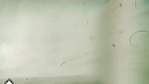 What Are We? A Haunting Question! #shorts