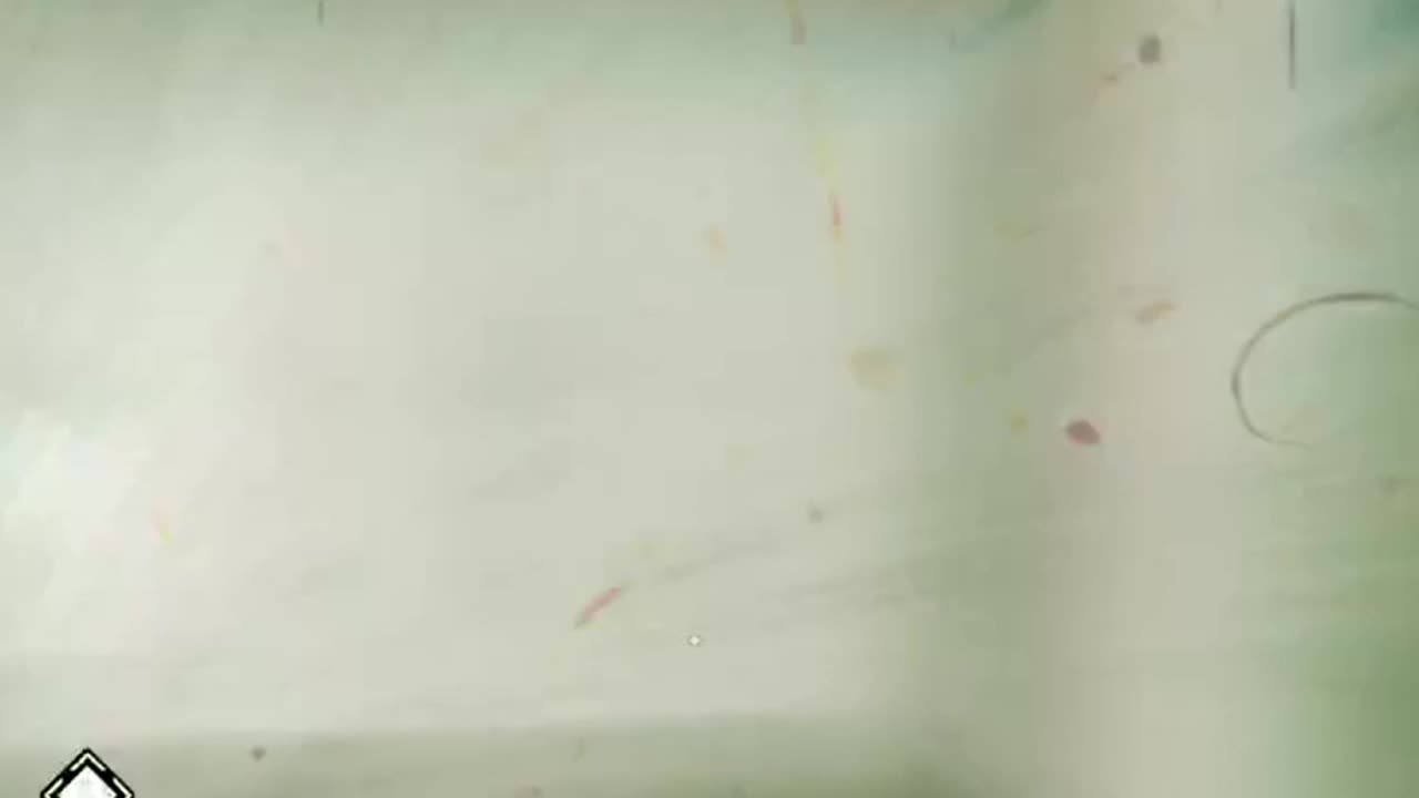 What Are We? A Haunting Question! #shorts