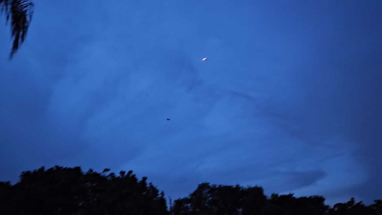 Twilight Dance