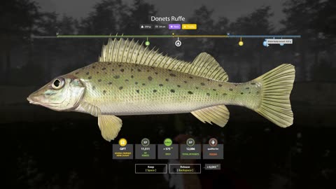 Rare Trophy Donets Ruffe Caught in a Winding Rivulet | RF4