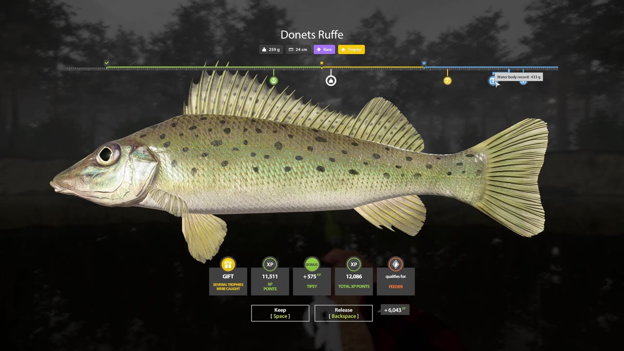 Rare Trophy Donets Ruffe Caught in a Winding Rivulet | RF4