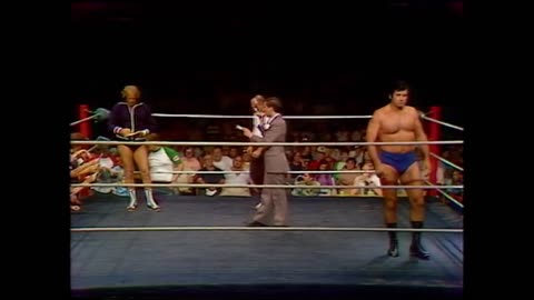 WWF All Star Wrestling Sep 13 1980