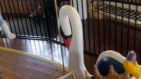 Nederland Merry-Go-Round