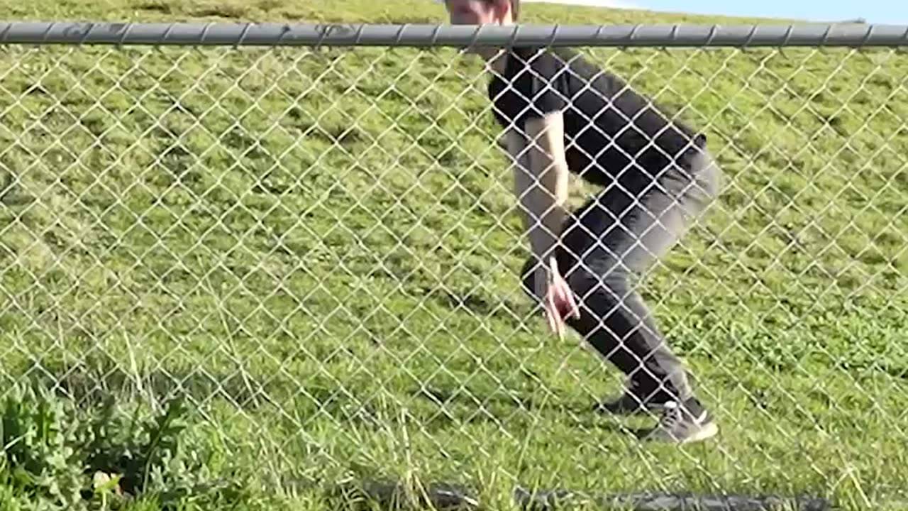 How Animals Get Over A Fence