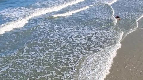 🌊WAVES
