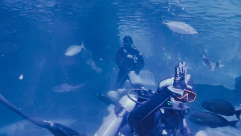 Phuket - Aquaria Vll. (Thailand)