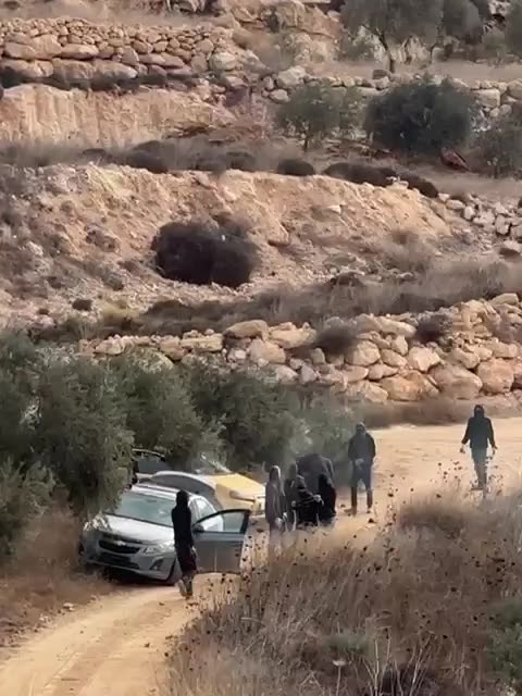 Settlers attack Palestinians while they harvest olives