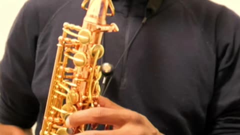 A History of New York City