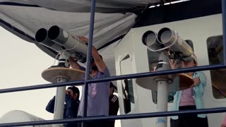 Mexico's Gulf of California sees progress saving endangered porpoises