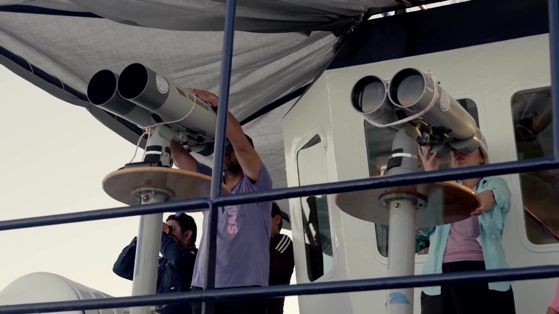 Mexicos Gulf of California sees progress saving endangered porpoises