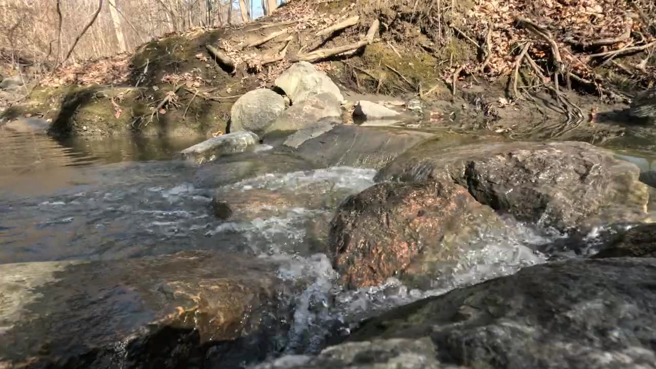 Relaxing babbling brook. Early spring.