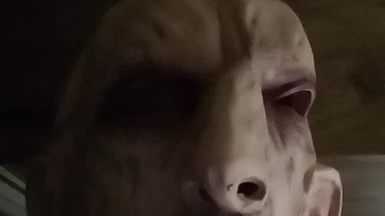 Conway Talking His Brilliance Part ?