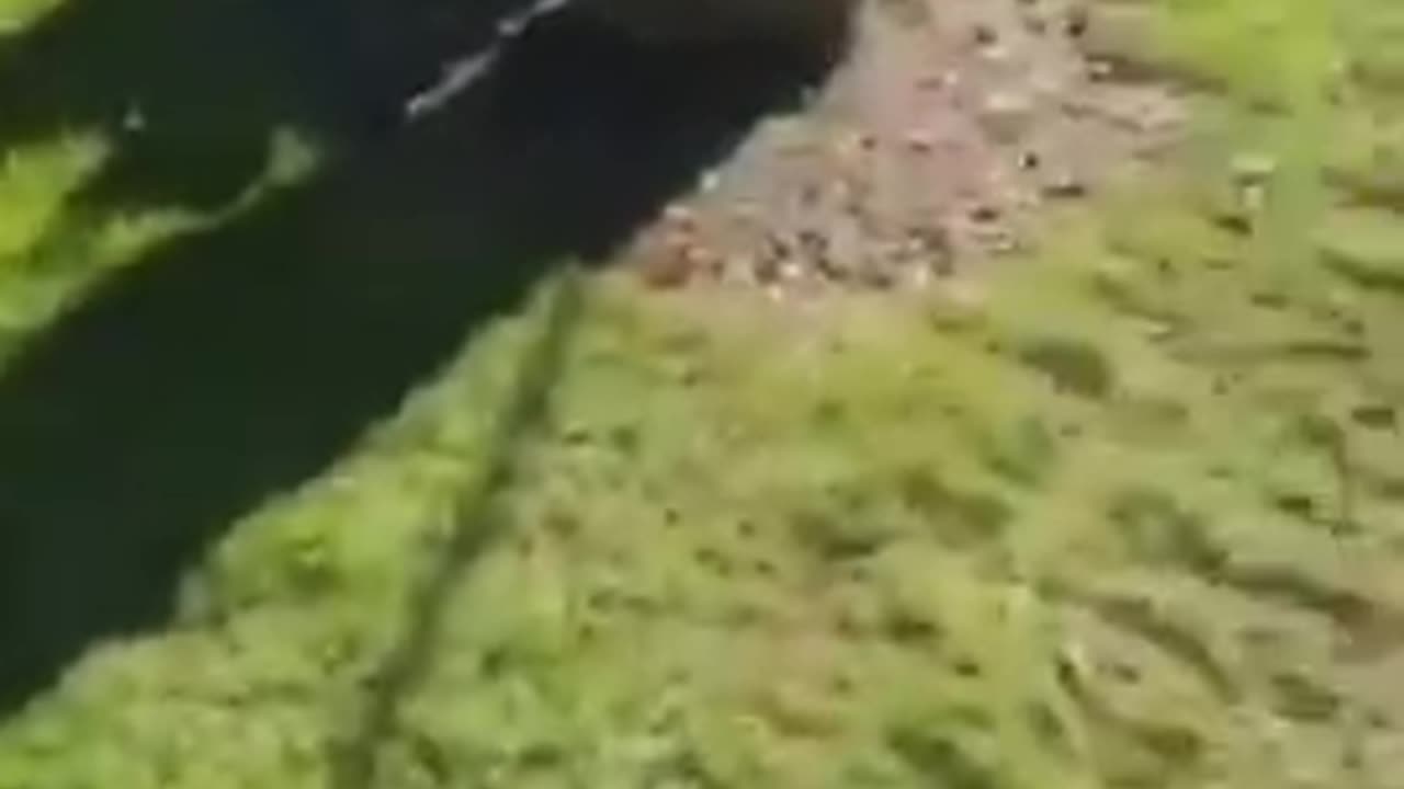 12 12 2020 Niggers in the hood say its all good part 1 - .mp4