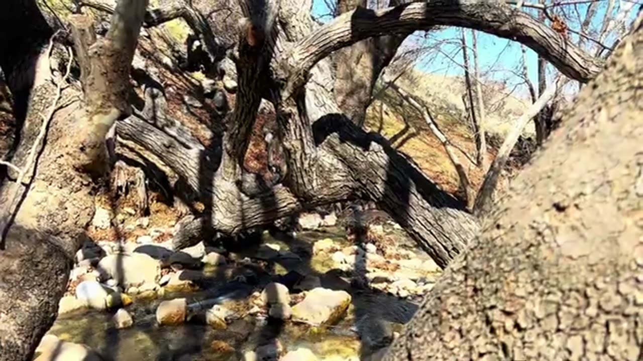 Bolognese Pasta in Nature – Best Outdoor Cooking Recipe for Pasta Lovers