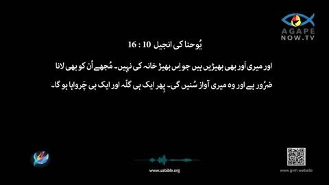 John chap 10 | Gospel ofJohn | Urdu Bible | یوحنا کی انجیل | Yohana ki Anjeel 10 baab