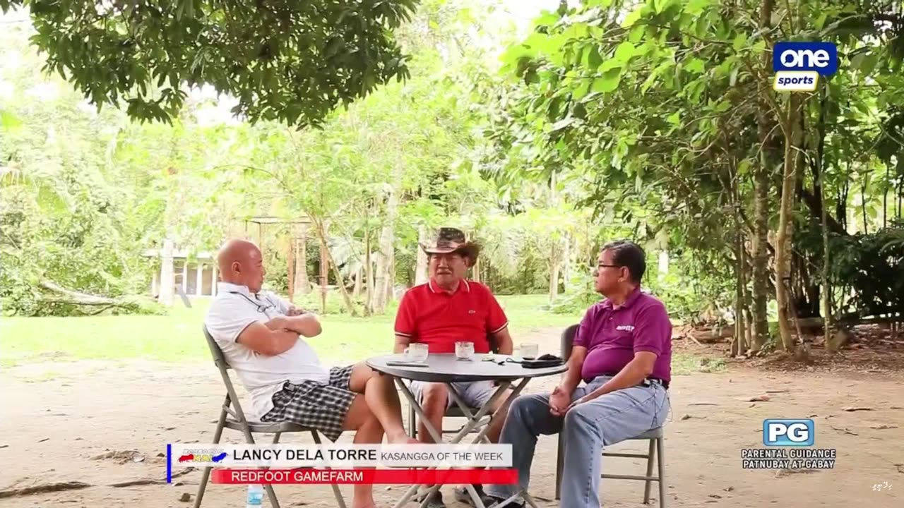 Rajje TV