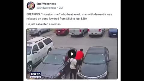 African Man Beats Old Man..Judge Lets Him Out..Then Beats Woman vs White Nationalism