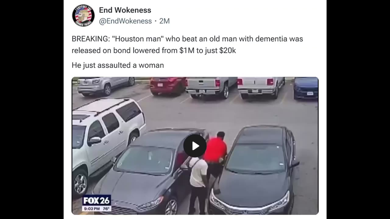 African Man Beats Old Man..Judge Lets Him Out..Then Beats Woman vs White Nationalism