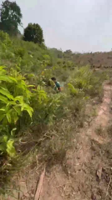 Motorcycle Crosses Puddle Only to Fall in Creek