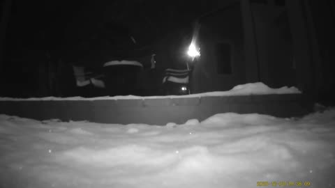 Haza PR800 Wild Camera Captures Me Hearing Cookie Cutter The Cat In Neighbor's Yard, 12/3/25