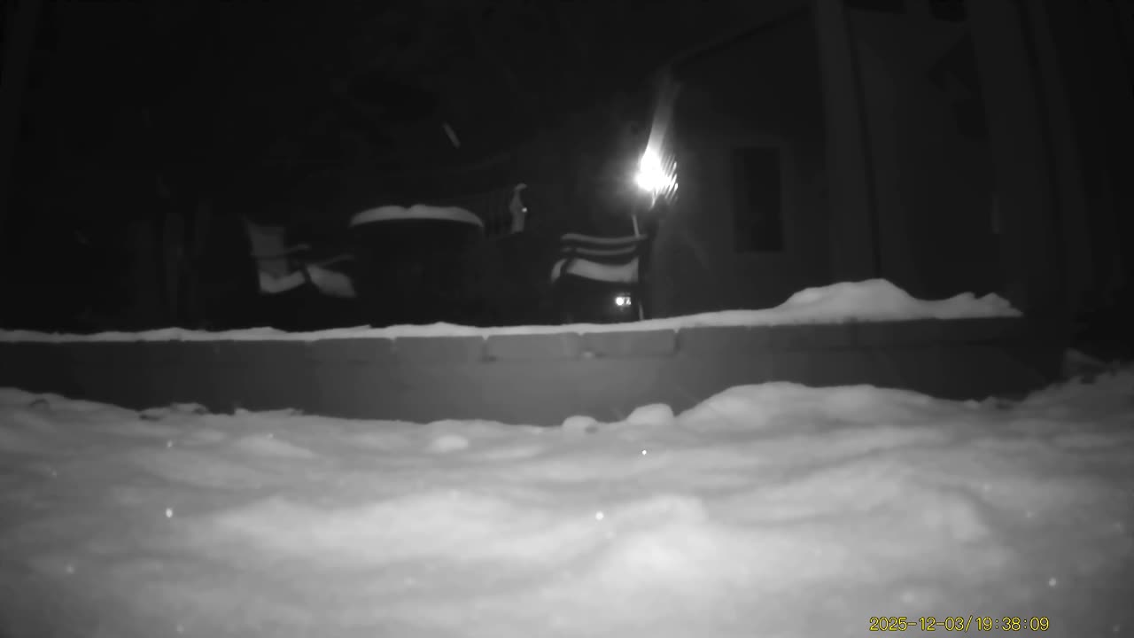 Haza PR800 Wild Camera Captures Me Hearing Cookie Cutter The Cat In Neighbor's Yard, 12/3/25