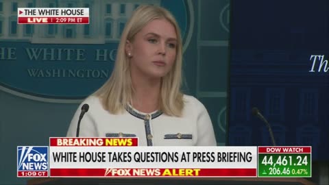 Leavitt, critica il giornalista che ha chiesto informazioni sullo zio di Trump