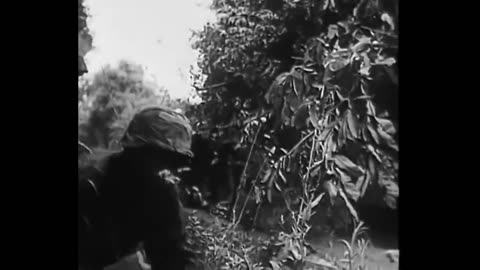 stug_iiis_in_the_normandy_bocage_in_1944