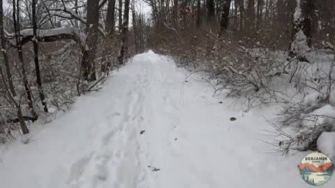 Luton Park’s BLUE TRAIL in the SNOW | Hike POV, ASMR