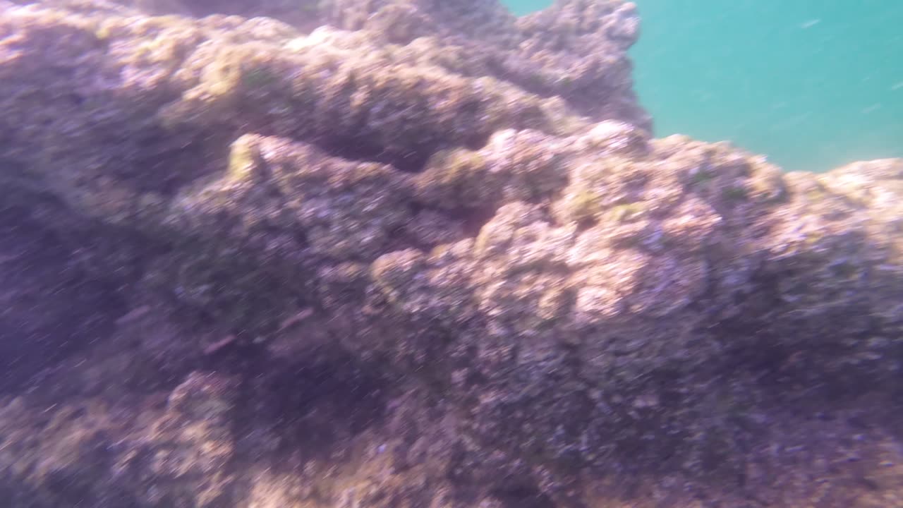 A Good Day At The Moutain Beach (Arrabida) MARGEM SUL, PORTUGAL 17th MAY 2K25 Part 17