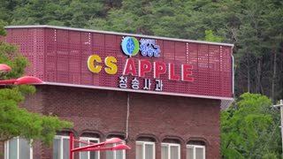 South Korean apple farmers beg not to be US trade deal sacrifice