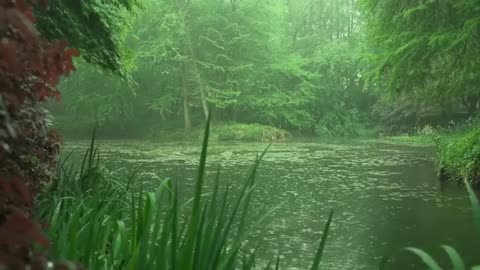 Calm River Rain Sounds (86) | Background Ambience for Focus & Relaxation