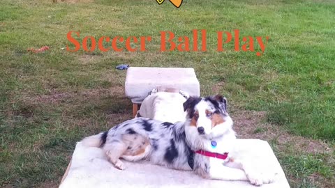 Soccer ball play with platforms and balance beams 2
