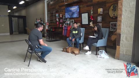 Consultation: Mylo | Rejected By Trainer Too Aggressive But Not Too Aggressive For Jesse, Reactivity