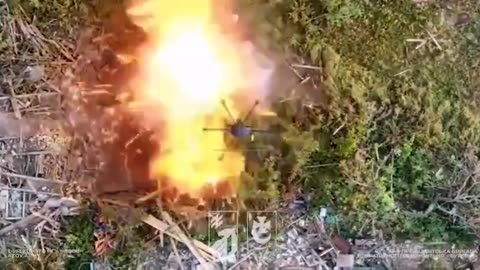 Brutal Drone Strikes Near Kupyansk Shredding Russian Infantry