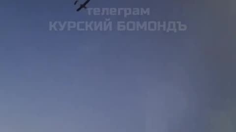 Kursk region 🦅🦅🦅