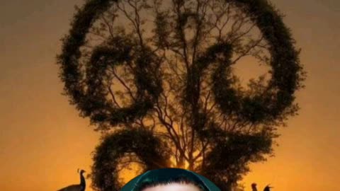 ONE SUN ONE TMS LEGEND M.THIRAVIDA SELVAN SINGAPORE TMS FANS