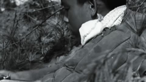 中国神枪手-32天436发子弹毙敌214人