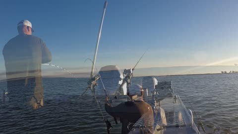 11-08-25 Suisun City Ca, - 39” Sturgeon