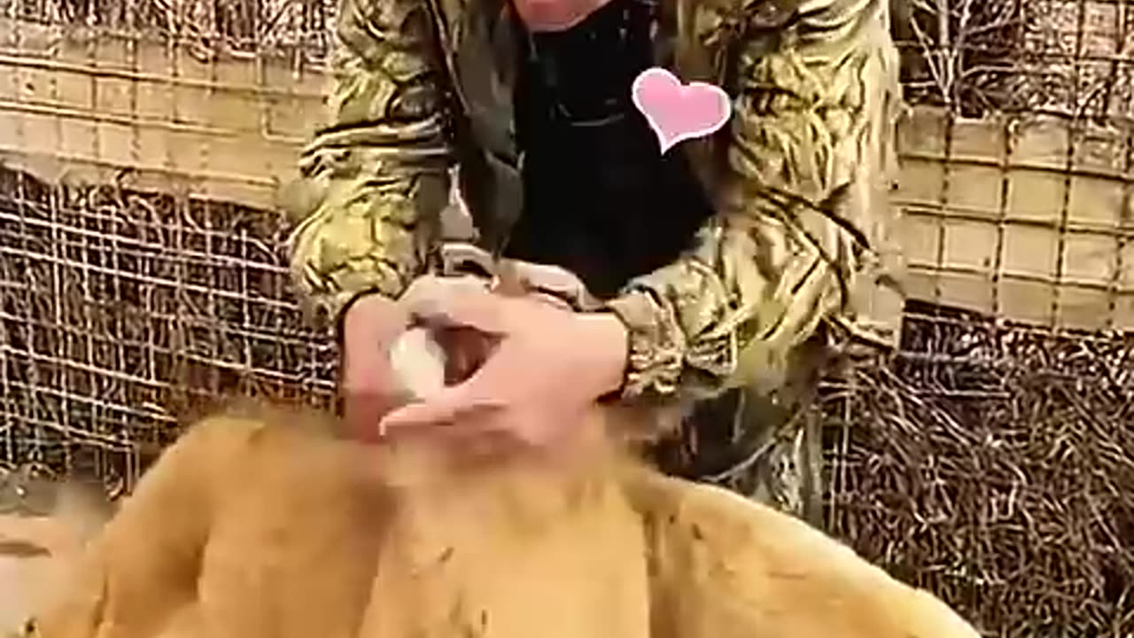 This man spent his life for animals in need