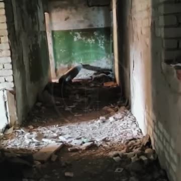 I feel lucky a missile in my room