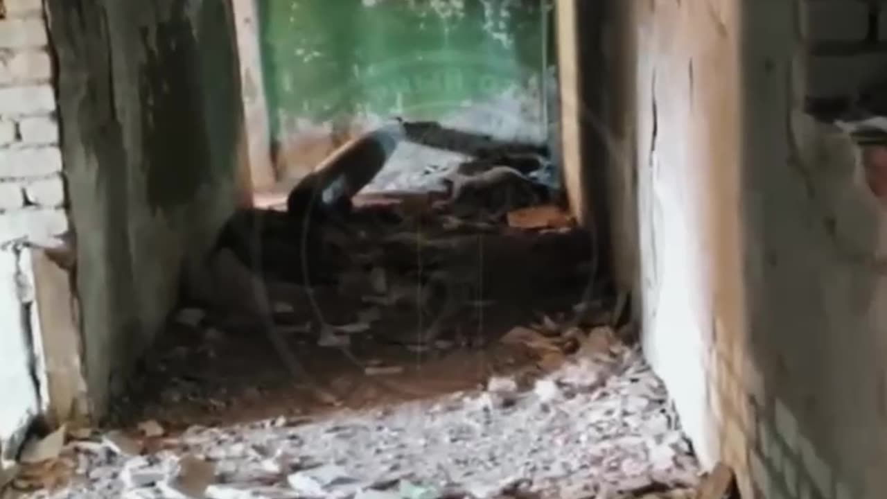 I feel lucky a missile in my room