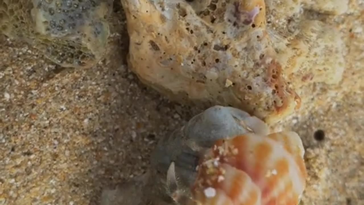 Polhena beach mathra sri lanka